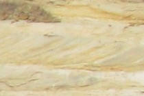 8939-210x140