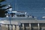 Whale watchers