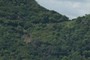 The road from Kipu Ranch.