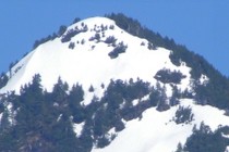 79204-210x140