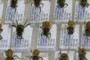 Craig Cella Collected