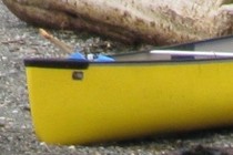 79515-210x140