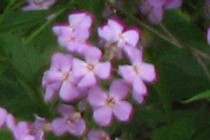 79535-210x140