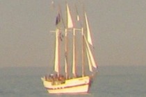 79666-210x140