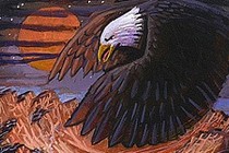 79825-210x140