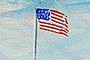 tiny flag