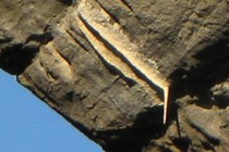 79932-210x140