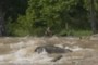 a kayaker?