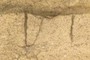Mudcracks