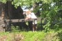 boy pointing across the river