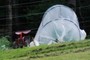 Row greenhouses