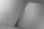 Good Teeth