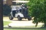 Golf Cart &amp; Squirrel