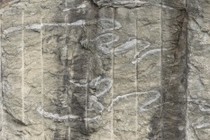 81275-210x140