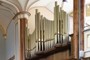 Organ