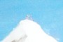 Prayer flags