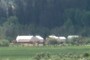 Some of the buildings at the C Lazy U Ranch