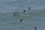 Surfer
