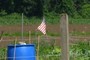 flag