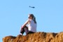 Flighty Thoughts