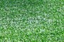 green, green