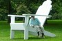 The BIG chair
