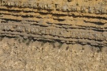 82268-210x140