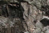 82345-210x140