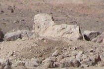 82873-210x140