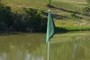 Flag - 17th Hole