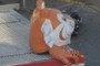 Esso´s Tiger