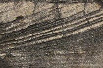 82977-210x140