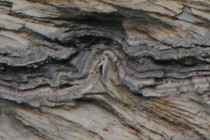 82991-210x140