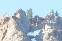 83420-210x140