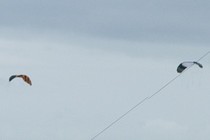 9520-210x140