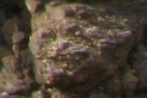 83441-210x140