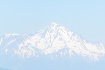 83496-210x140