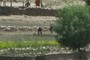 Farmers