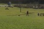 Walk 
