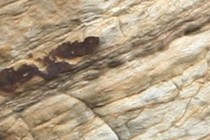 84290-210x140