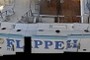 Flipper II
