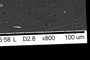 scale bar