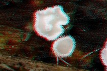 84599-210x140