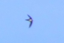 84949-210x140