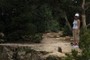Babe in the woods