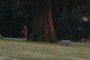 Graveyard