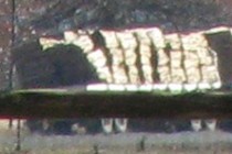85338-210x140