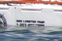 85416-210x140