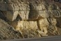 Fort Hays Limestone