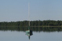 85596-210x140